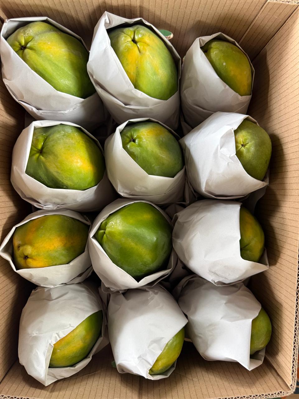 Caja con 12 papayas — calibre 12 — Viva Papaya