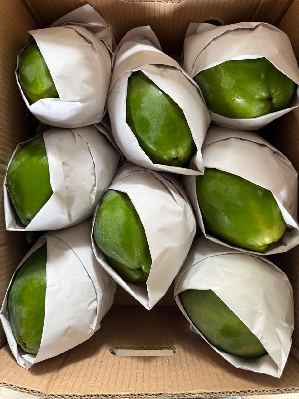 Caja con 8 papayas — calibre 8 — Viva Papaya