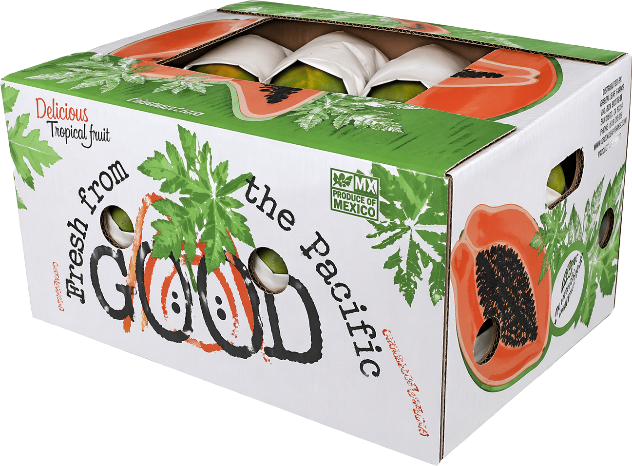 Caja de cartón Good News — presentación exportación — Viva Papaya